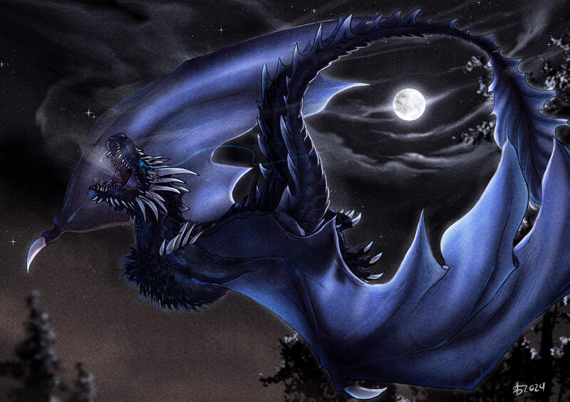 Cold Night Flight (commission) Cold Night Flight (commission)